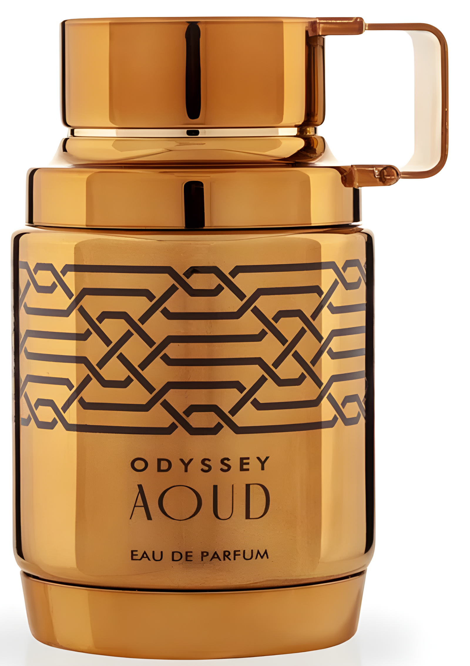 Armaf Odyssey Aoud Oud Edition 100 Ml Man Edp